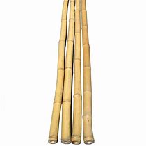 Bamboo Canes 6 ft | Sundrys | Turlough Nursery